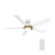 ASCENDER 48 inch 5 - Blade Flush Mount Smart Ceiling Fan with LED Light & Remote - LEDMyPlace