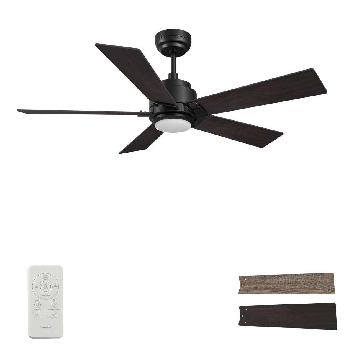 ASCENDER 48 inch 5 - Blade Smart Ceiling Fan with LED Light & Remote - LEDMyPlace