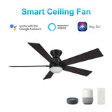 ASCENDER 52 inch 5 - Blade Flush Mount Smart Ceiling Fan with LED Light & Remote - LEDMyPlace