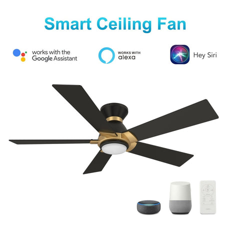 ASCENDER 52 inch 5 - Blade Flush Mount Smart Ceiling Fan with Remote & LED Light - LEDMyPlace
