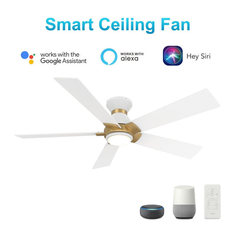 ASCENDER 52 inch 5 - Blade Flush Mount Smart Ceiling Fan with Remote & LED Light - LEDMyPlace