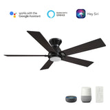 ASCENDER 52 inch 5 - Blade Flush Mount Smart Ceiling Fan with Remote & LED Light - LEDMyPlace