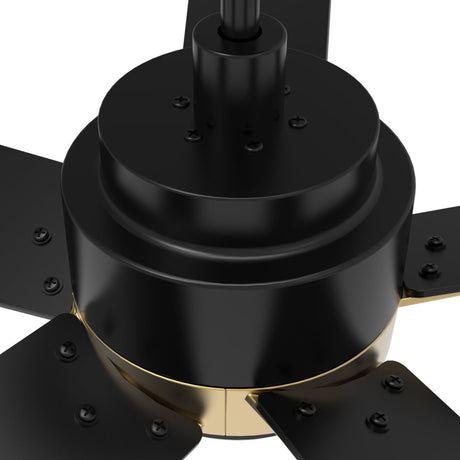 ASCENDER 52 inch 5 - Blade Smart Ceiling Fan with LED Light & Remote - LEDMyPlace