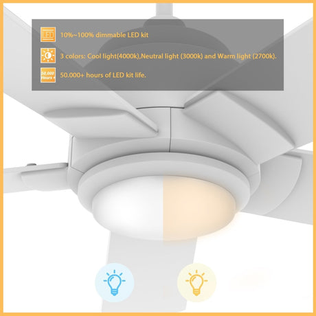 ASCENDER 56 inch 5 - Blade Smart Ceiling Fan with LED Light & Remote - LEDMyPlace