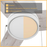 ASCOTT 52 inch 3 - Blade Flush Mount Ceiling Fan with LED Light & Pull Chain - LEDMyPlace