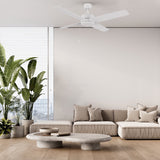 ASCOTT 52 inch 4 - Blade No Light Ceiling Fan with Pull Chain - LEDMyPlace