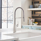 Blanco Rivana 1.5 GPM Kitchen Faucet Single Hole Pre - Rinse Pull Out - BUILDMYPLACE