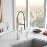 Blanco Rivana 1.5 GPM Kitchen Faucet Single Hole Pre - Rinse Pull Out - BUILDMYPLACE