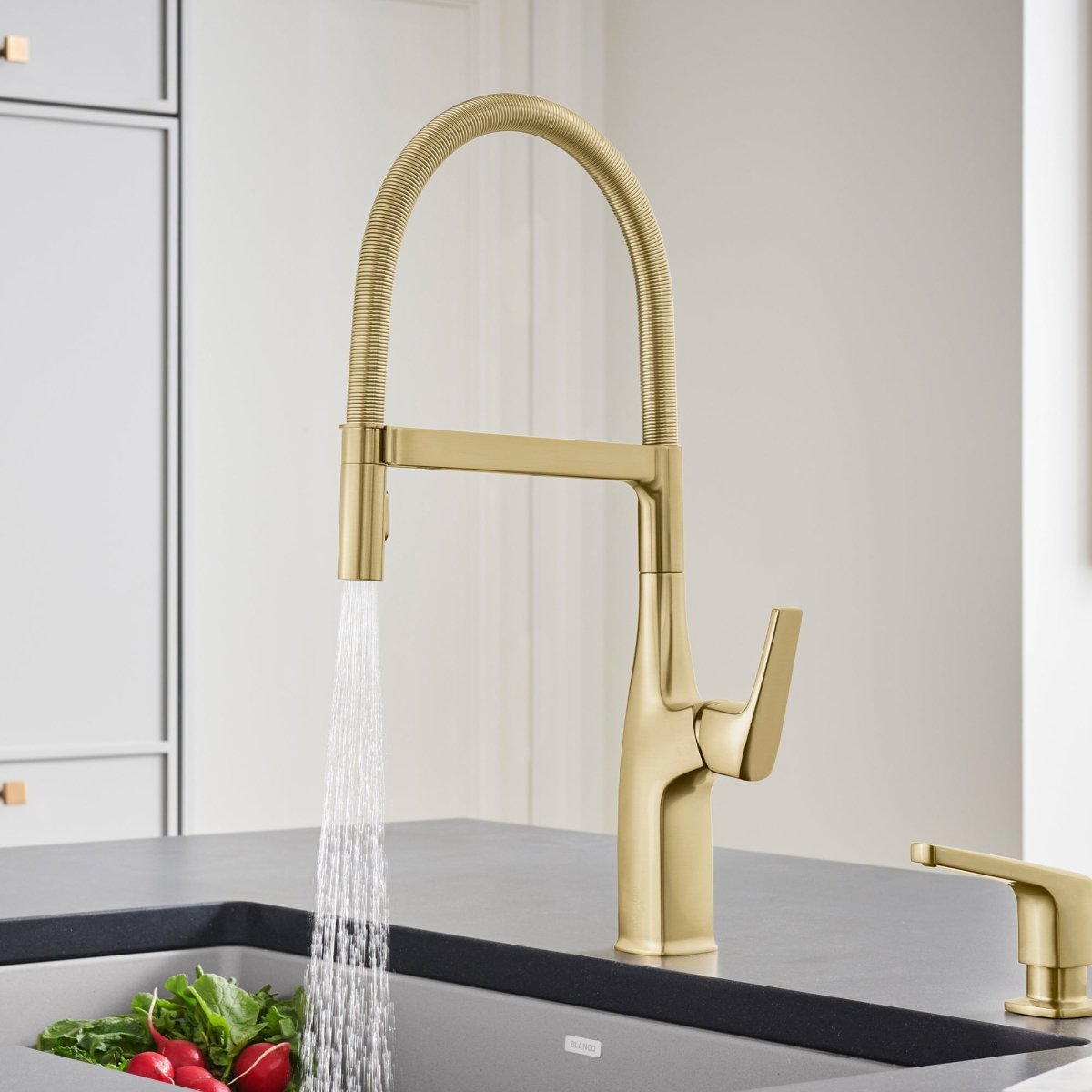 Blanco Rivana 1.5 GPM Kitchen Faucet Single Hole Pre - Rinse Pull Out - BUILDMYPLACE