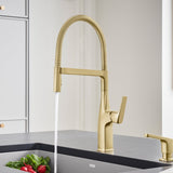 Blanco Rivana 1.5 GPM Kitchen Faucet Single Hole Pre - Rinse Pull Out - BUILDMYPLACE