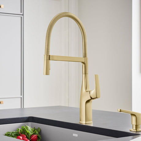 Blanco Rivana 1.5 GPM Kitchen Faucet Single Hole Pre - Rinse Pull Out - BUILDMYPLACE