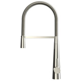 Brass Single Handle Pull Down Kitchen Faucet With Zinc Handle, Plate in Stainless - BUILDMYPLACE