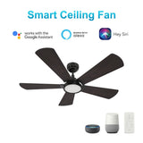 BRISA 52 inch 5 - Blade Smart Ceiling Fan with LED Light & Remote - LEDMyPlace