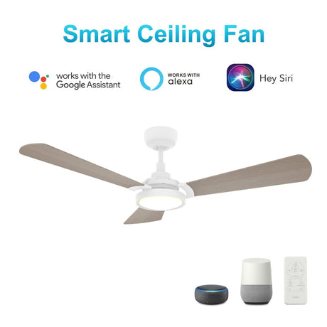 BRISA 56 inch 3 - Blade Smart Ceiling Fan with LED Light & Remote - LEDMyPlace