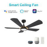 BRISA 56 inch 5 - Blade Smart Ceiling Fan with LED Light & Remote - LEDMyPlace