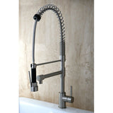 Brushed Nickel Single - Handle Pre - Rinse Kitchen Faucet - BUILDMYPLACE