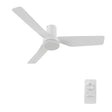 Caerus 44 inch 3 - Blade Ceiling Fan with Remote Control - LEDMyPlace