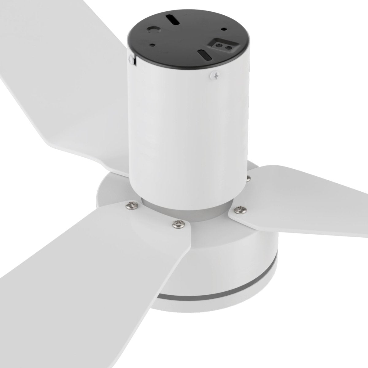 Caerus 44 inch 3 - Blade Ceiling Fan with Remote Control - LEDMyPlace