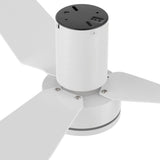 Caerus 44 inch 3 - Blade Ceiling Fan with Remote Control - LEDMyPlace