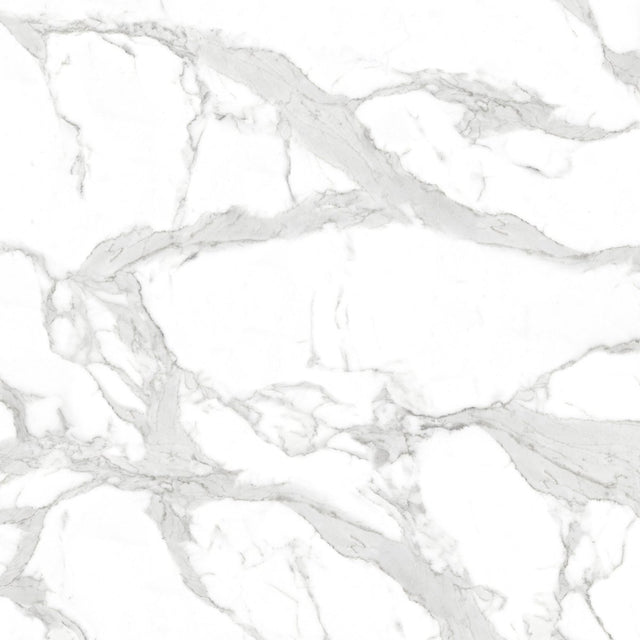 CALACATTA EXTRA 48 in. x 48 in. x 8.5 mm Marble Look Tile - for Porcelain Floor and Wall Tile (31 Sqft/Box) - BUILDMYPLACE