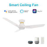 CALEN 44 inch 3 - Blade Flush Mount Smart Ceiling Fan with LED Light & Remote - LEDMyPlace