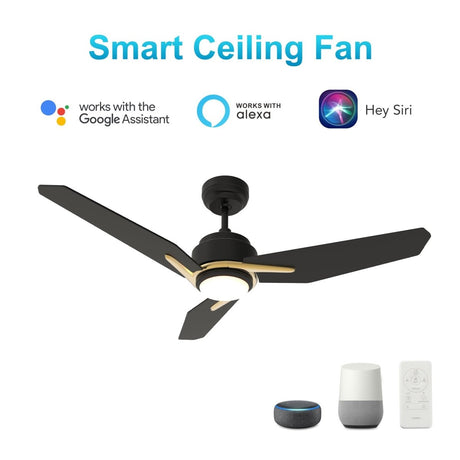 CALEN 48 inch 3 - Blade Smart Ceiling Fan with LED Light & Remote - LEDMyPlace