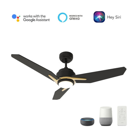 CALEN 56 inch 3 - Blade Smart Ceiling Fan with LED Light & Remote - LEDMyPlace