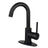 Concord Single Handle Bar Faucet - BUILDMYPLACE