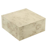 Cosmos 36" Square Burl Wood Coffee Table - BUILDMYPLACE
