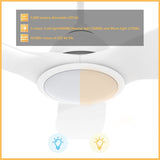 CRANSTON 52 inch 3 - Blade Smart Ceiling Fan with LED Light & Remote - LEDMyPlace