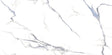 Decovita Calacatta Aqua 24x48 Polished porcelain - 15.49 sf per case - BUILDMYPLACE