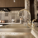 Double Handle Kitchen Faucet With Spray in Bronze - BUILDMYPLACE