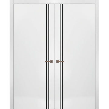 Solid French Double Doors | Planum 0016 White Silk | Wood Solid Panel Frame Trims | Closet Bedroom