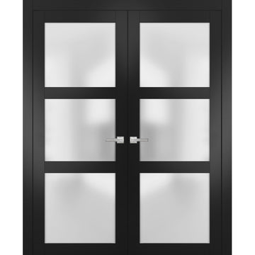 Solid French Double Doors | Lucia 2552 Matte Black with Frosted Glass | Wood Solid Panel Frame Trims | Closet Bedroom Sturdy Doors