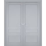 Interior Solid French Double Doors | Veregio 7411 Matte Grey | Wood Solid Panel Frame Trims | Closet Bedroom Sturdy Doors