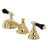 Duchess Widespread Bathroom Faucet With Brass Pop Up In Corrosion Resistant Finish - BUILDMYPLACE