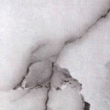 ELIRA 56 inch 5 - Blade Smart Ceiling Fan with LED Light & Remote - LEDMyPlace