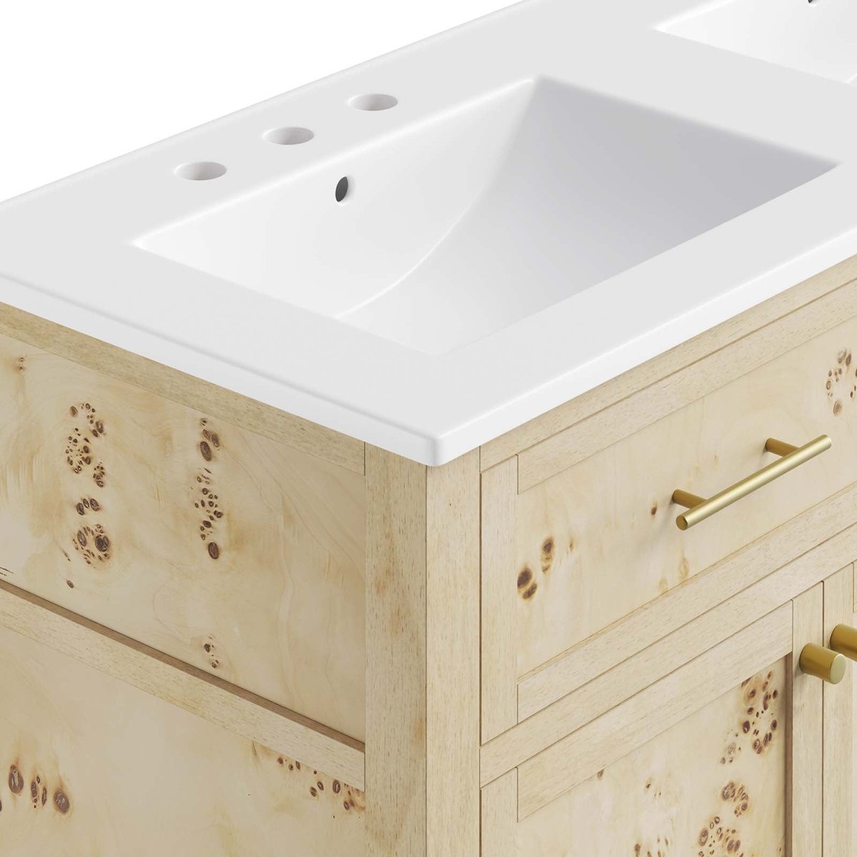 Elysian 48" Double Sink Bathroom Vanity - BUILDMYPLACE