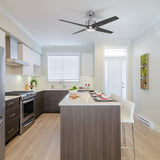 EMPIRE 52 inch 4 - Blade Ceiling Fan with LED Light & Pull Chain - LEDMyPlace