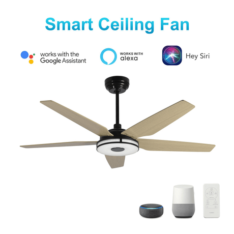 Explorer 52" In. 5 Blade Smart Ceiling Fan with Dimmable LED Light Kit Works with Remote Control, Wi - Fi apps and Voice control via Google Assistant/Alexa/Siri - BUILDMYPLACE