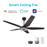 Explorer Black 5 Blade Smart Ceiling Fan with Dimmable LED Light Kit Works with Remote Control, Wi - Fi apps and Voice control via Google Assistant/Alexa/Siri - BUILDMYPLACE