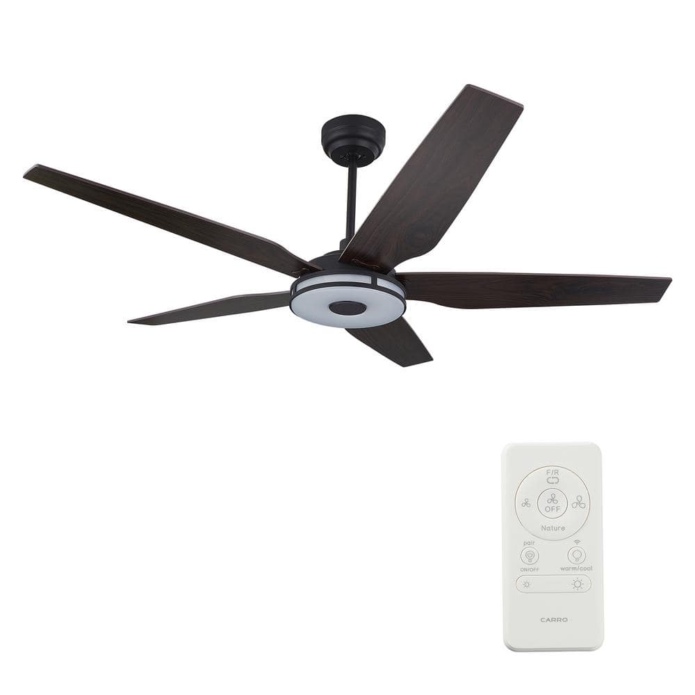 Explorer Black 5 Blade Smart Ceiling Fan with Dimmable LED Light Kit Works with Remote Control, Wi - Fi apps and Voice control via Google Assistant/Alexa/Siri - BUILDMYPLACE