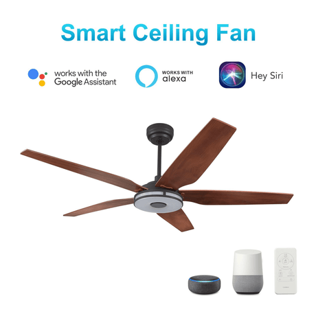 Explorer Black/Wood 5 Blade Smart Ceiling Fan with Dimmable LED Light Kit Works with Remote Control, Wi - Fi apps and Voice control via Google Assistant/Alexa/Siri - BUILDMYPLACE