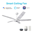 Explorer White/White marble 5 Blade Smart Ceiling Fan with Dimmable LED Light Kit Works with Remote Control, Wi - Fi apps and Voice control via Google Assistant/Alexa/Siri - BUILDMYPLACE