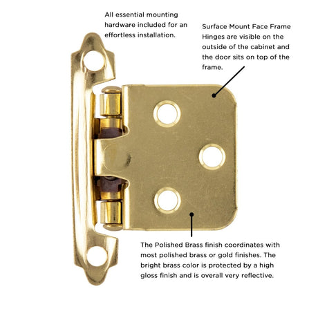 Flush Cabinet Hinges Surface Frame Self - Close (2 Hinges/Per Pack) - Hickory Hardware - BUILDMYPLACE