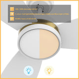 FREMONT 48 inch 3 - Blade Smart Ceiling Fan with LED Light & Remote - LEDMyPlace