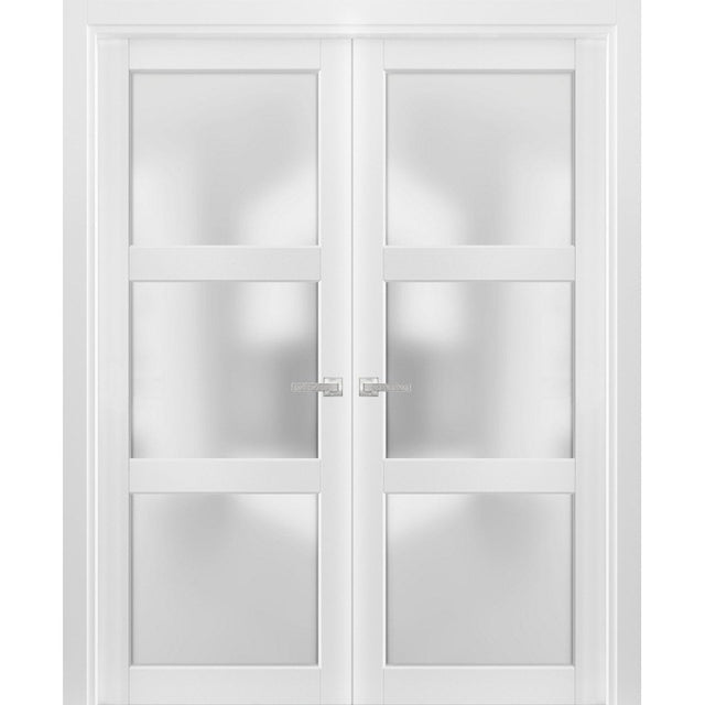 French Double Panel Lite Doors with Hardware | Lucia 2552 White Silk with Frosted Glass | Panel Frame Trims | Bathroom Bedroom Interior Sturdy Door - BUILDMYPLACE