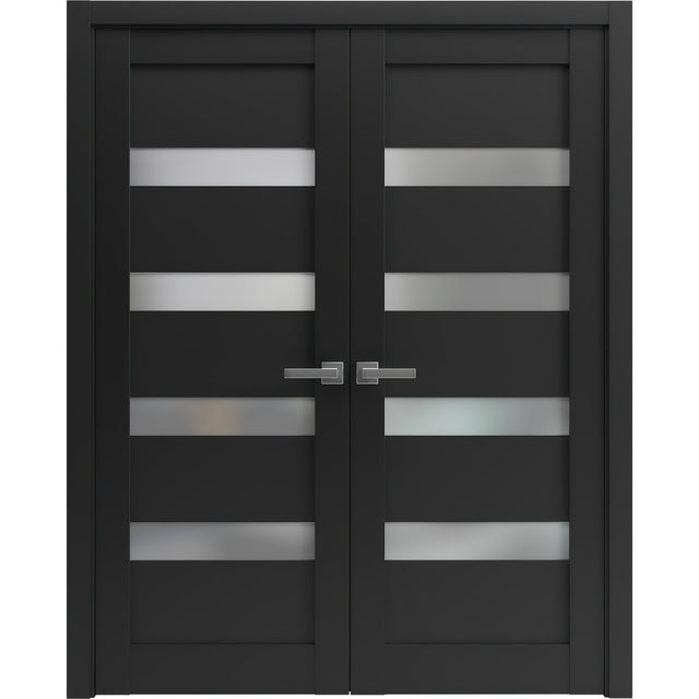 French Double Panel Lite Doors with Hardware | Quadro 4113 Matte Black with Frosted Glass | Panel Frame Trims | Bathroom Bedroom Interior Sturdy Door - BUILDMYPLACE