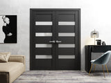French Double Panel Lite Doors with Hardware | Quadro 4113 Matte Black with Frosted Glass | Panel Frame Trims | Bathroom Bedroom Interior Sturdy Door - BUILDMYPLACE