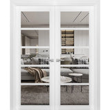 French Double Panel Lite Doors with Hardware | Quadro 4522 White Silk with Clear Glass | Panel Frame Trims | Bathroom Bedroom Interior Sturdy Door - BUILDMYPLACE